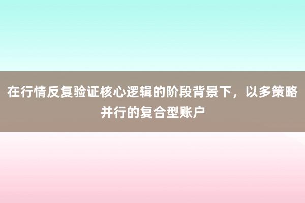 在行情反复验证核心逻辑的阶段背景下，以多策略并行的复合型账户
