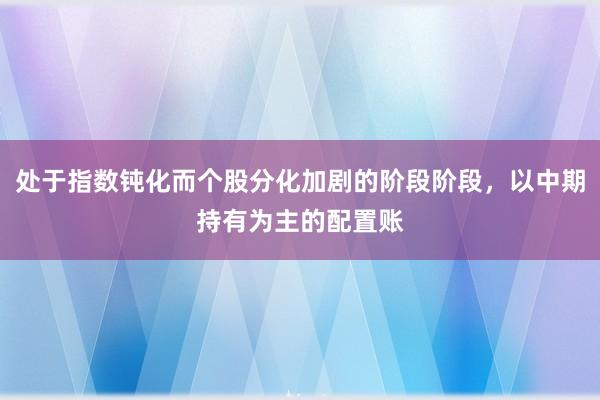 处于指数钝化而个股分化加剧的阶段阶段，以中期持有为主的配置账