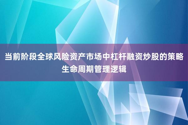 当前阶段全球风险资产市场中杠杆融资炒股的策略生命周期管理逻辑