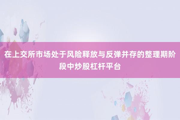 在上交所市场处于风险释放与反弹并存的整理期阶段中炒股杠杆平台