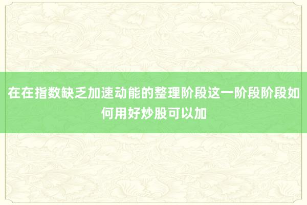 在在指数缺乏加速动能的整理阶段这一阶段阶段如何用好炒股可以加