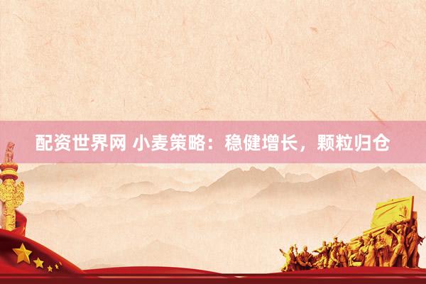 配资世界网 小麦策略：稳健增长，颗粒归仓