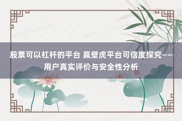 股票可以杠杆的平台 赢壁虎平台可信度探究——用户真实评价与安全性分析